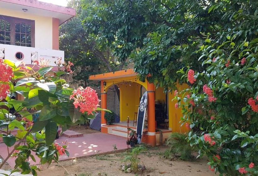 Villa Mango Hostel