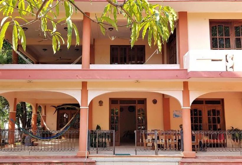 Villa Mango Hostel