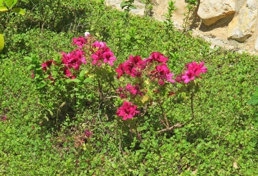 فندق ريفى Masseria Giovanni