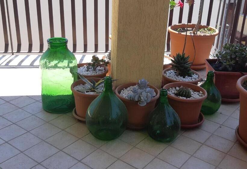 پانسیون Cesare S Guests Acitrezza