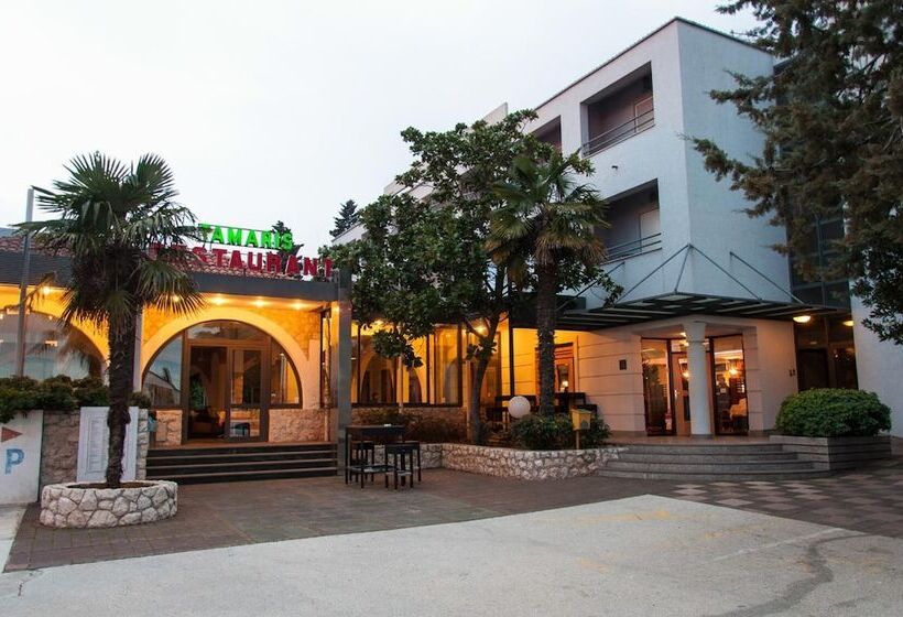 膳宿费 Guest Accomodation Tamaris