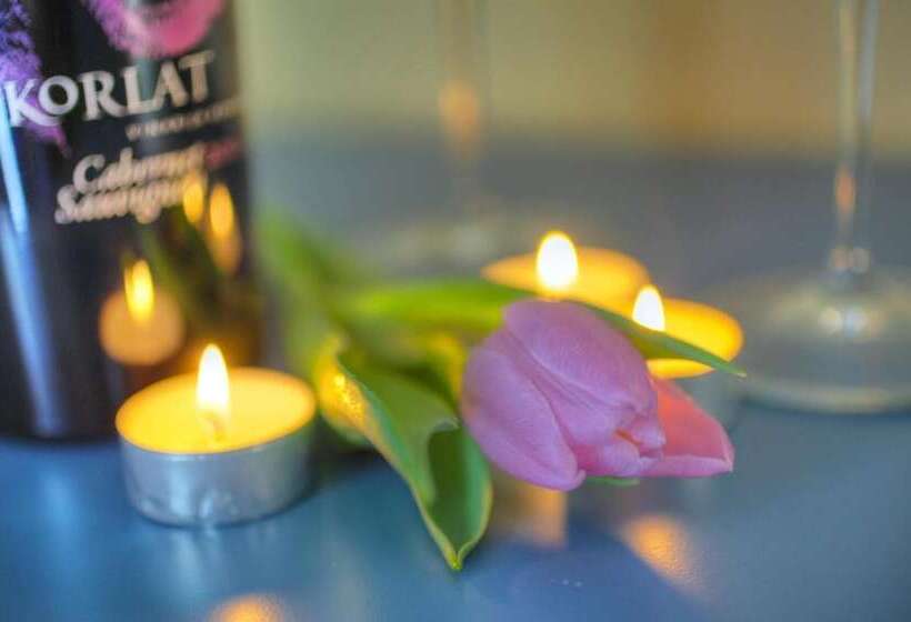 膳宿费 Guest Accomodation Tamaris