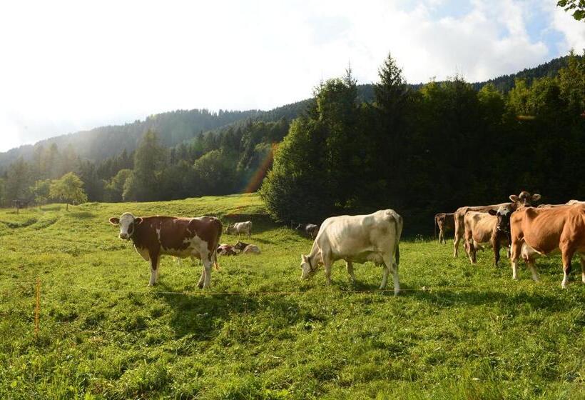 レジデンス La Casa Al Noce