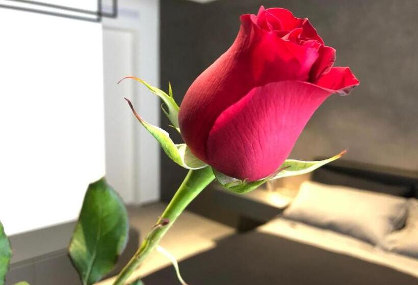 تختخواب و صبحانه Golden Suites 50