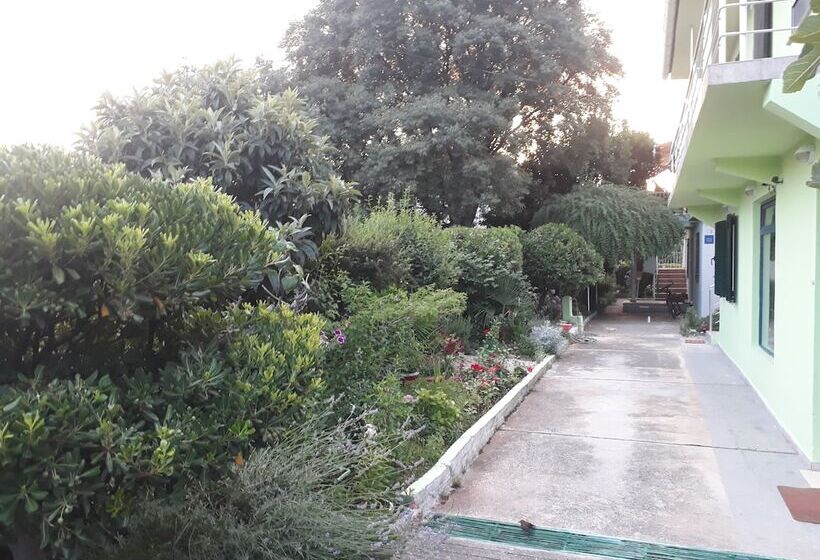 Green Hostel