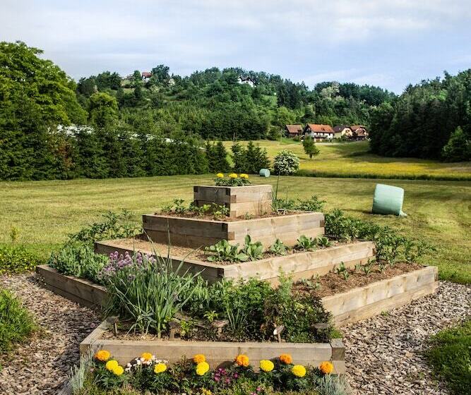 Korošec Apartments And Wellness Centre