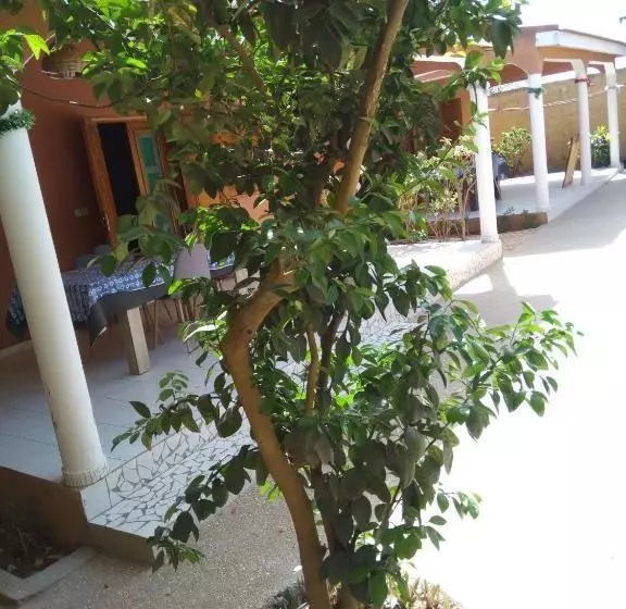 پانسیون Chez Coumba Et Daniel