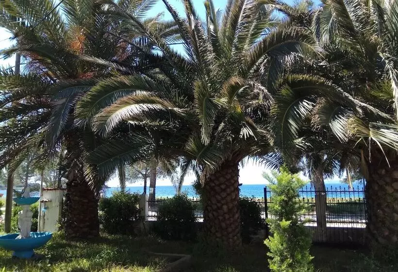 Toroni Apartments