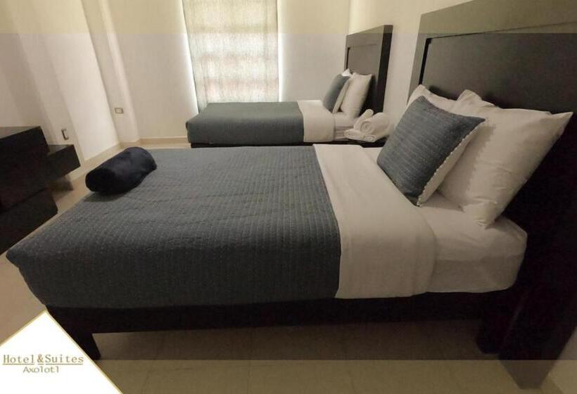 Y Suites Axolotl