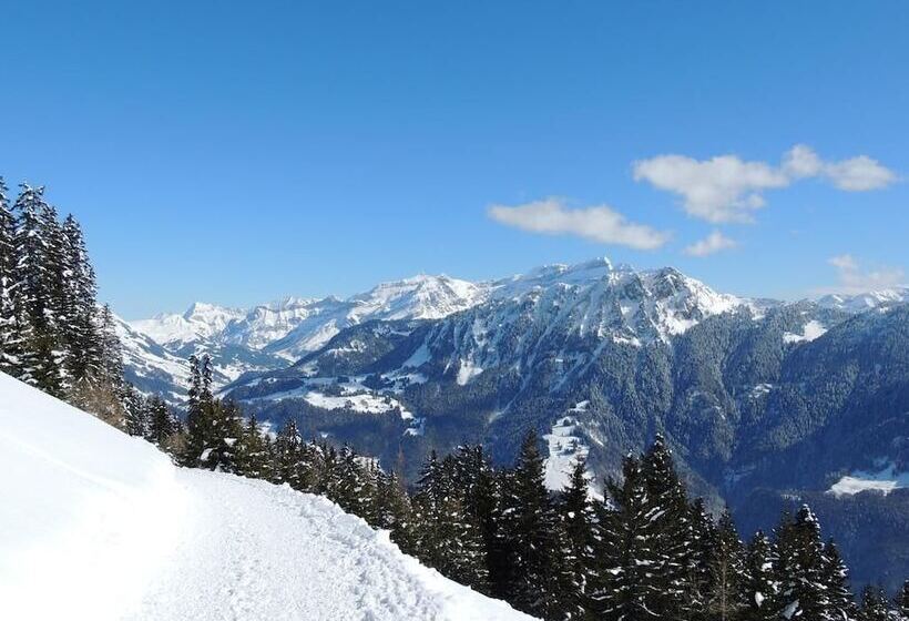 هتل Alpine Classic