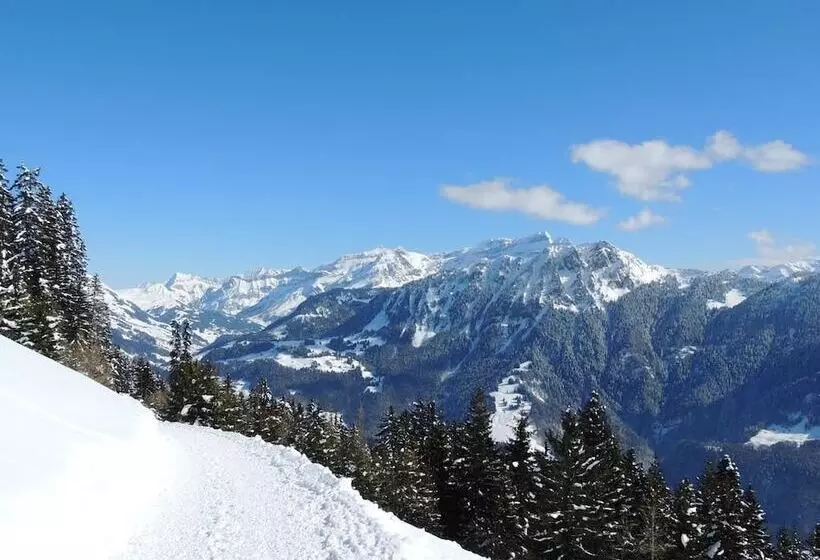 בית מלון כפרי Alpine Classic