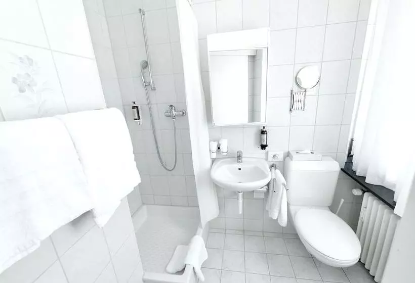 Balegra City Hotel Basel Contactless Self Check In