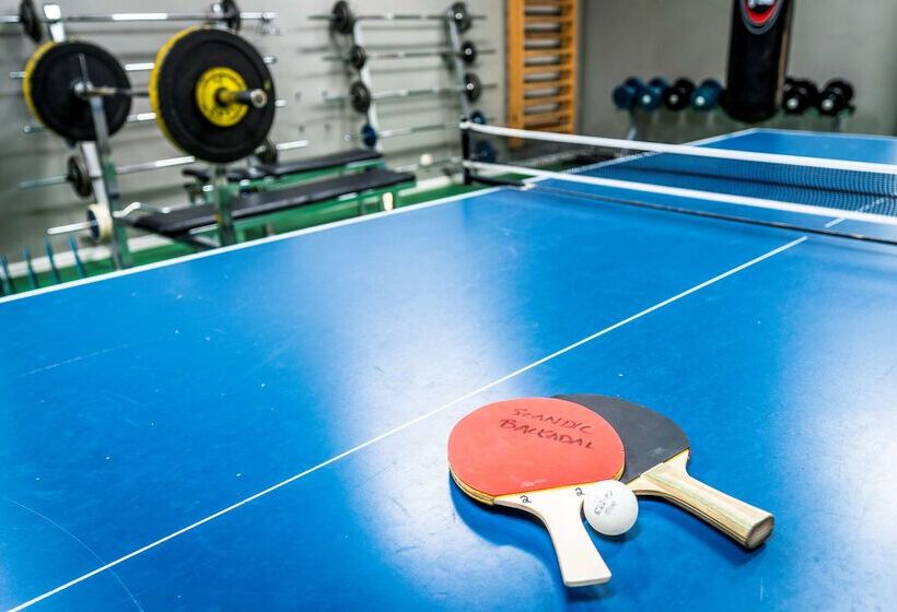 בית מלון כפרי Scandic Backadal