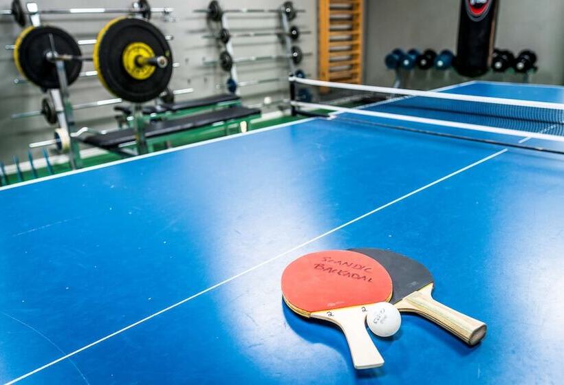 בית מלון כפרי Scandic Backadal