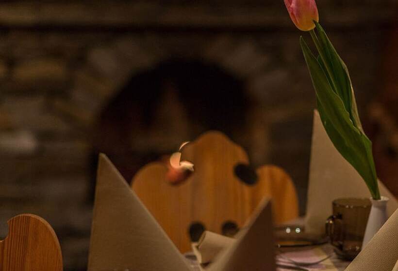 Bed and Breakfast Willa U Zwijacza