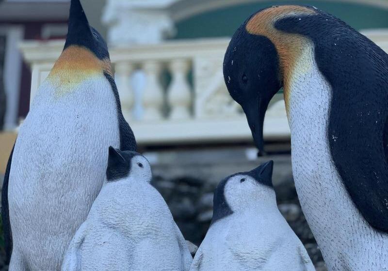 호텔 G Beach Resort And Restobar