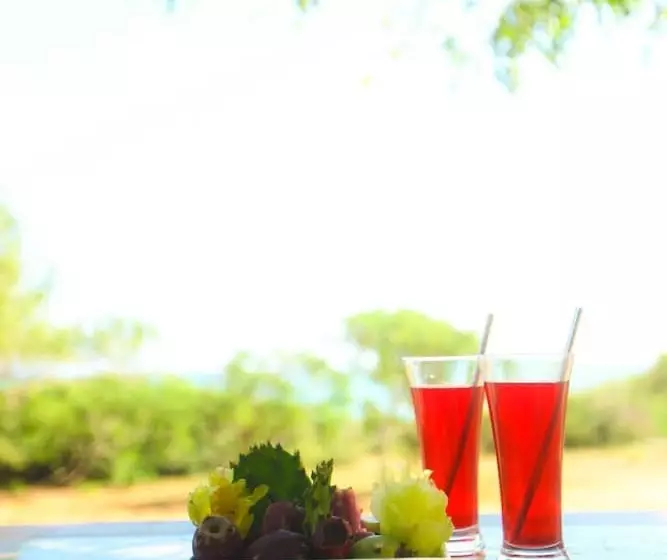 Hotelli Nil Sisila Beach Resort Yala