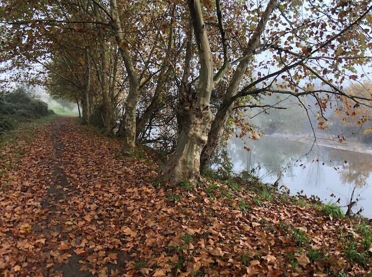 בית מלון כפרי Self Catering Quinta Lamosa   Responsible Tourism For 2 People