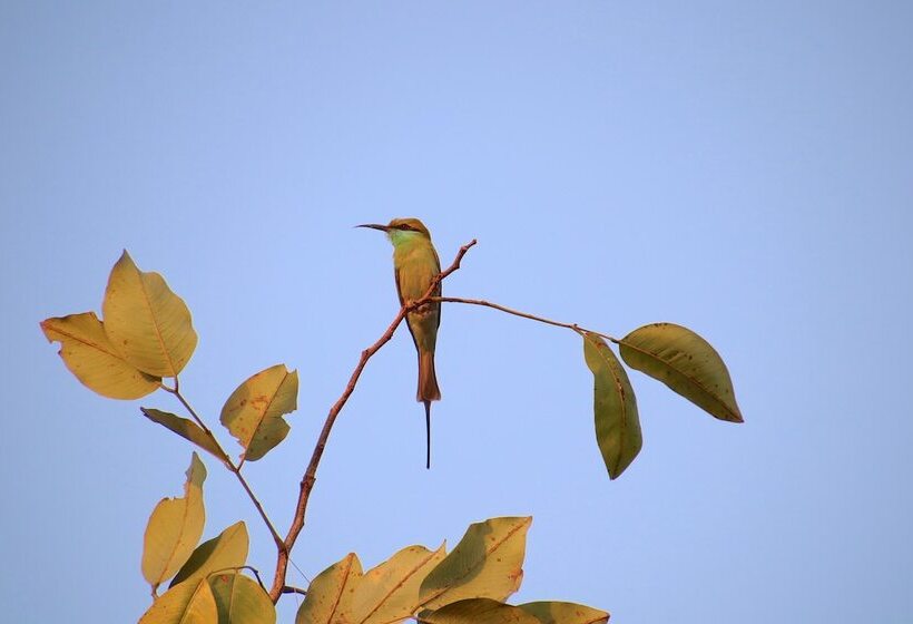 هتل Shahar Palace