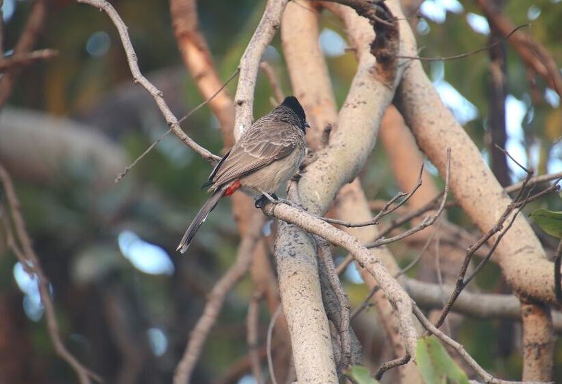 هتل Shahar Palace