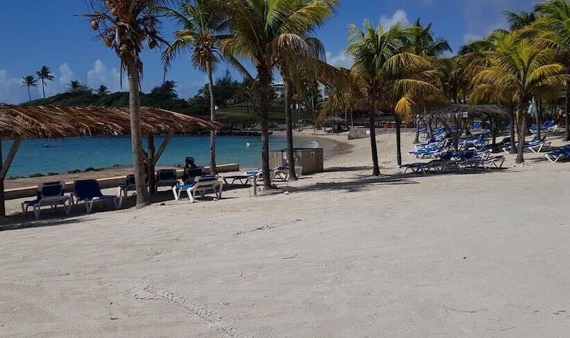 Sea Sun Manga Mangano