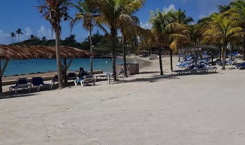 Sea Sun Manga Mangano