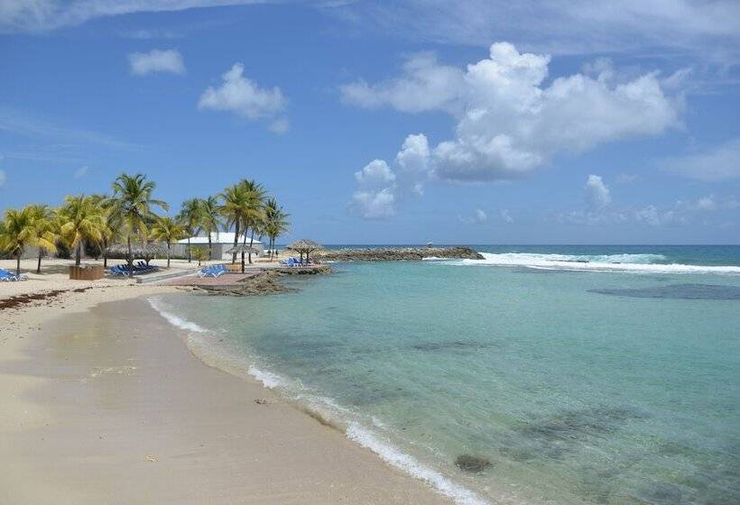 Sea Sun Manga Mangano