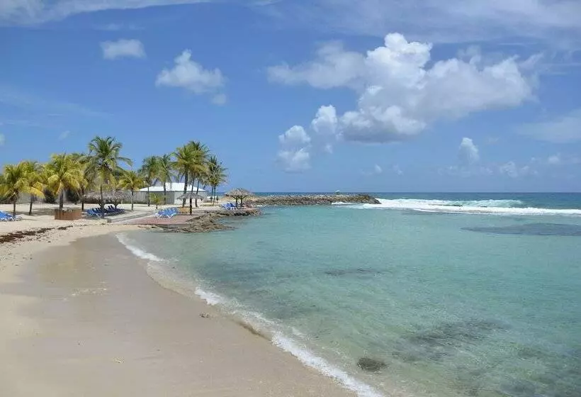 Sea Sun Manga Mangano