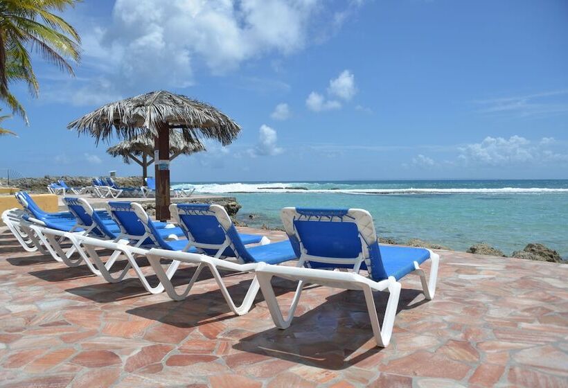 Sea Sun Manga Mangano