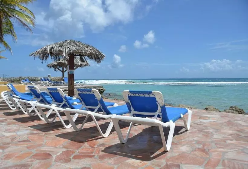 Sea Sun Manga Mangano