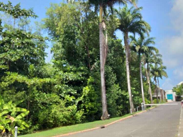 Sea Sun Manga Mangano