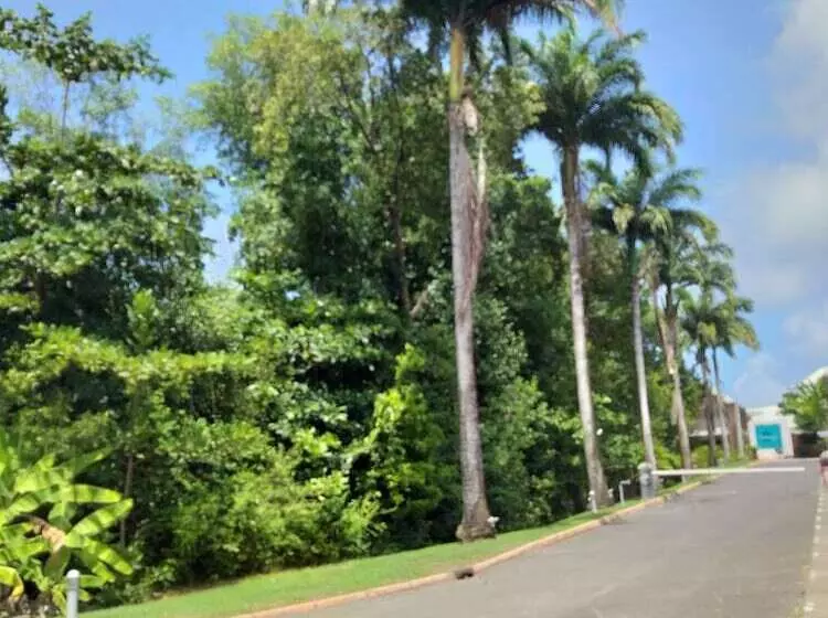 Sea Sun Manga Mangano