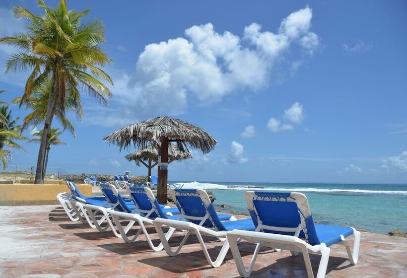 Sea Sun Manga Mangano