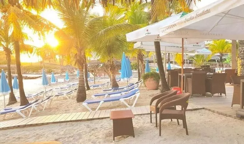 Sea Sun Manga Mangano