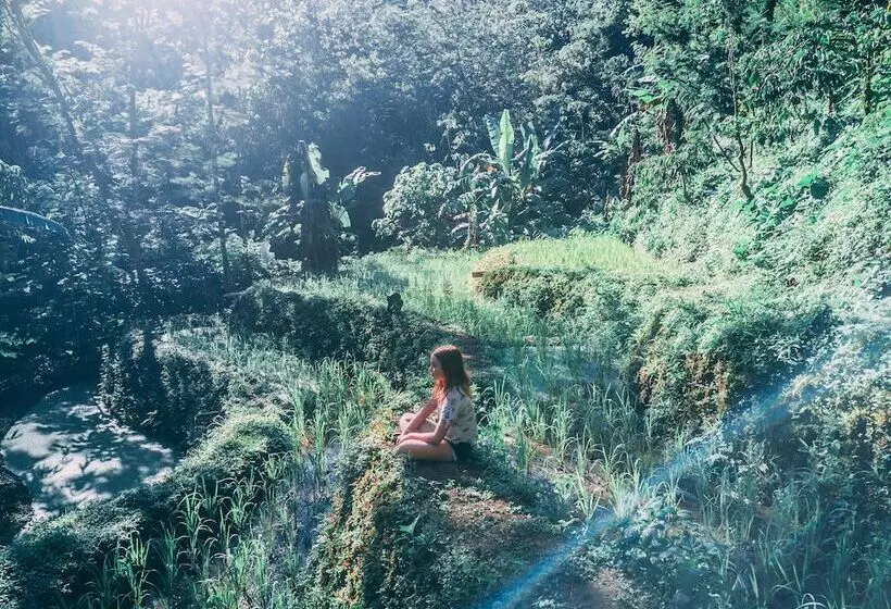 Retkeilymaja Desa Eko