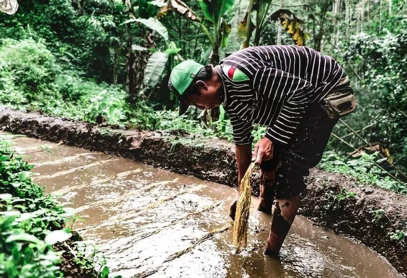 Retkeilymaja Desa Eko
