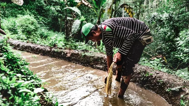 Retkeilymaja Desa Eko