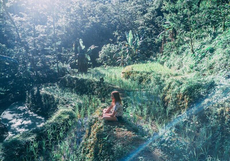 Общежитие Desa Eko