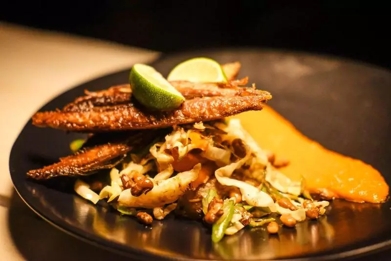 Retkeilymaja Desa Eko