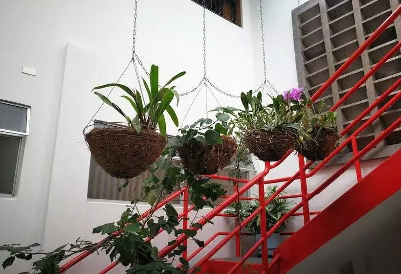 تختخواب و صبحانه Hojarascas