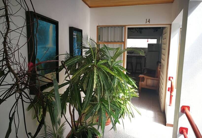 مبيت وإفطار Hojarascas