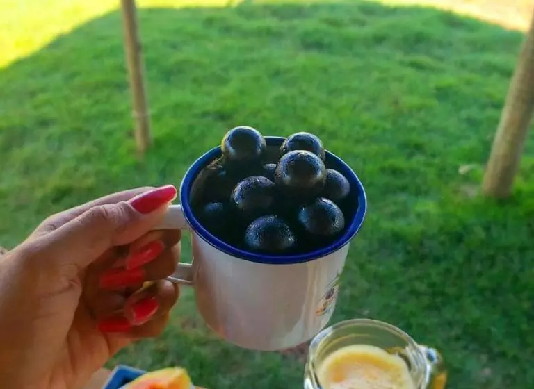 Hotelli Aldeia Canastra Pousada