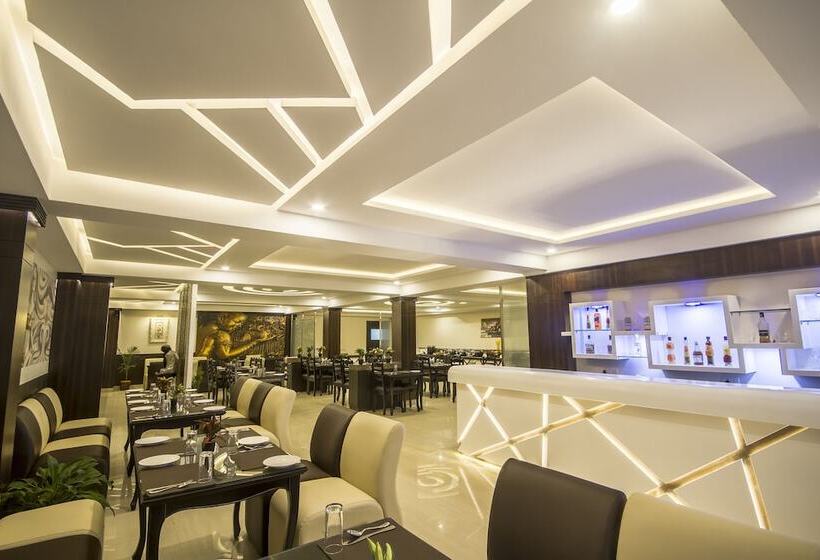 酒店 Daizzo Maple Residency