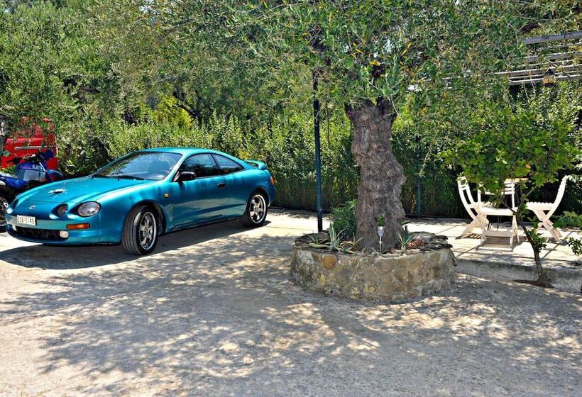 Studios Dimitris Giatras