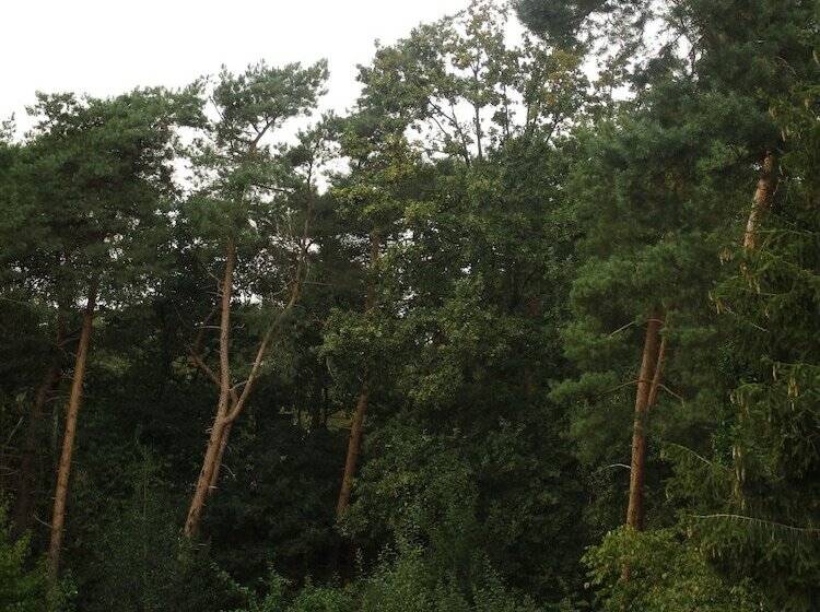 צימר De Loteling