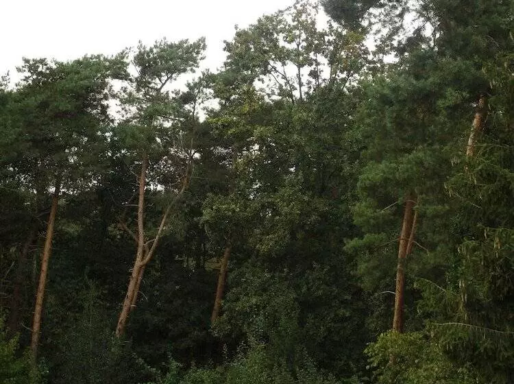 Aamiaismajoitus (B&B) De Loteling