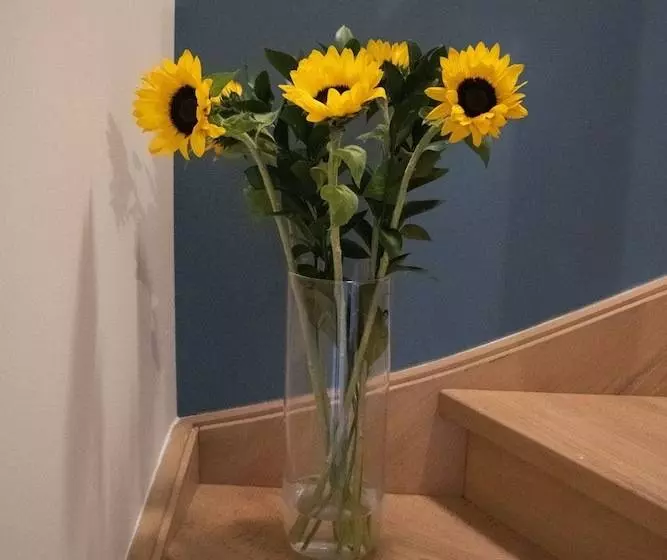 Aamiaismajoitus (B&B) De Loteling