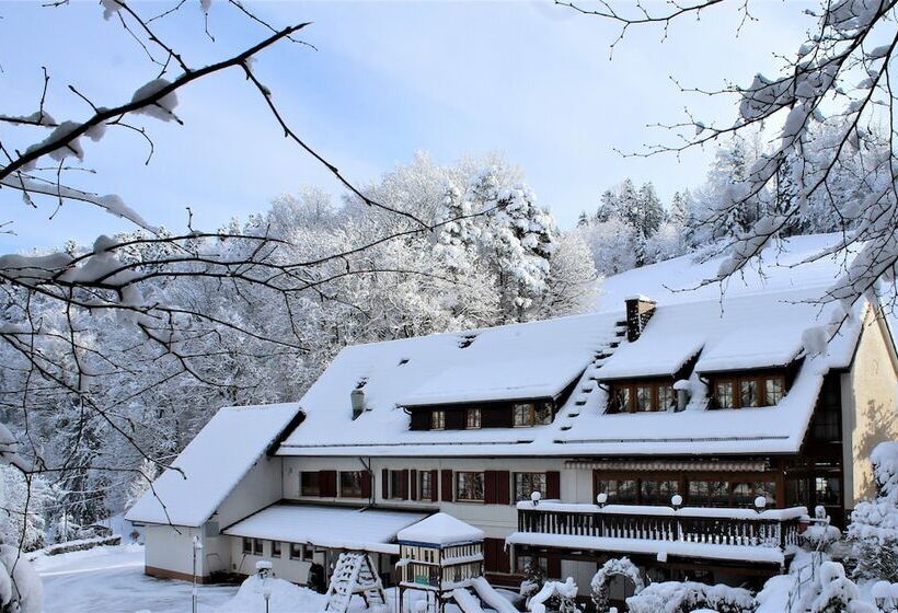 Отель Berggasthof Linde