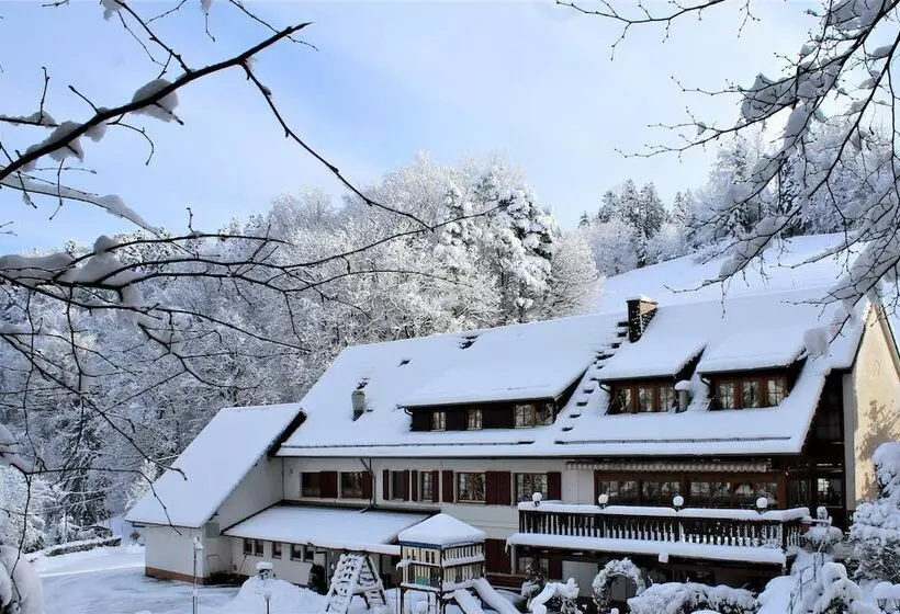 Hotel Berggasthof Linde