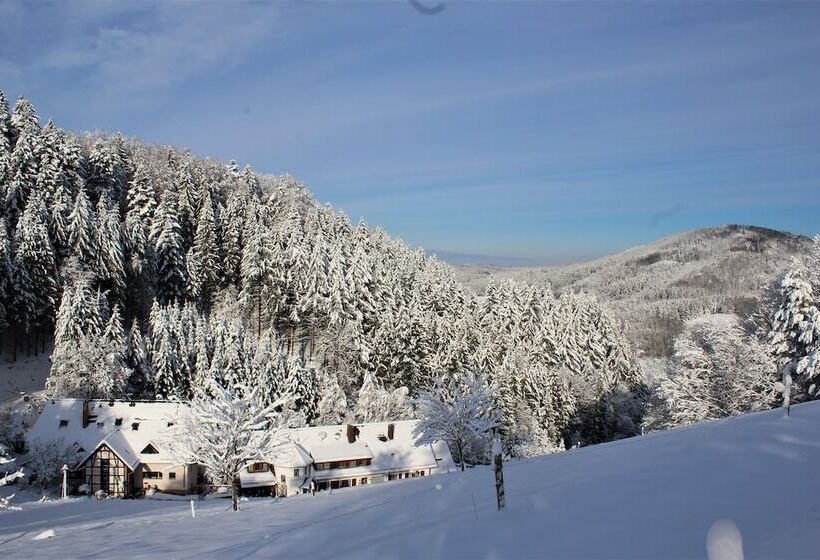 Отель Berggasthof Linde